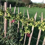 Cosy Farm Bnb - Caravans - Dogs Welcome - 5 Min From E47 Bed & Breakfast Tureby
