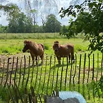 Cosy Farm Bnb - Caravans - Dogs Welcome - 5 Min From E47 3* Tureby