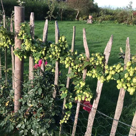 5 Min From E47 - Dogs Welcome - Cosy Farm Bed & Breakfast Tureby