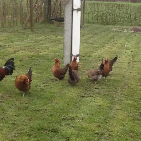 5 Min From E47 - Dogs Welcome - Cosy Farm Bed & Breakfast Tureby