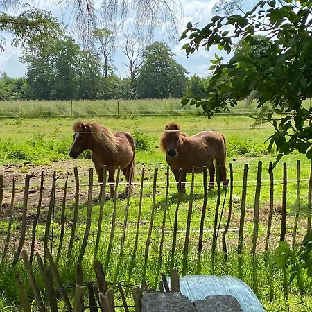 Cosy Farm - Caravans - Dogs Welcome - 5 Min From E47 3* Tureby