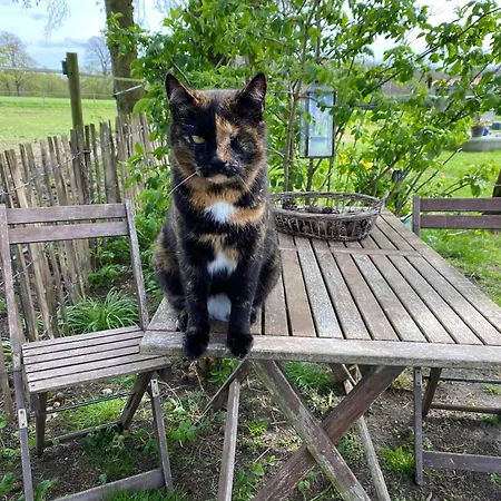 5 Min From E47 - Dogs Welcome - Cosy Farm Bed & Breakfast Tureby